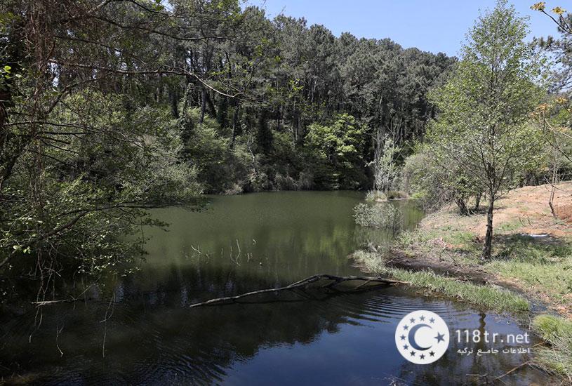 پارک جنگلی آتاتورک استانبول 68 پارک جنگلی آتاتورک استانبول 65